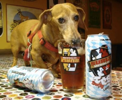 Dog Drinking Beer 10